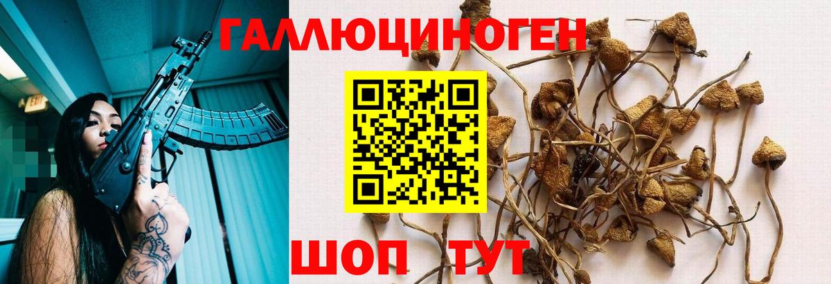 Галлюциногенные грибы ЛСД Псков