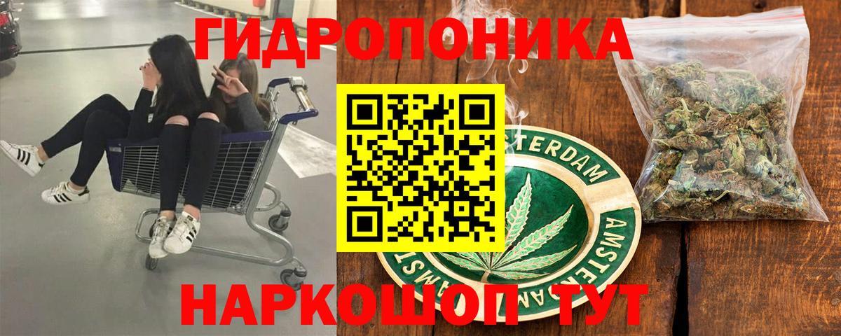 Псков  Канабис планчик  Вход с VPN  Марихуана Ganja  Бошки марихуана конопля 
